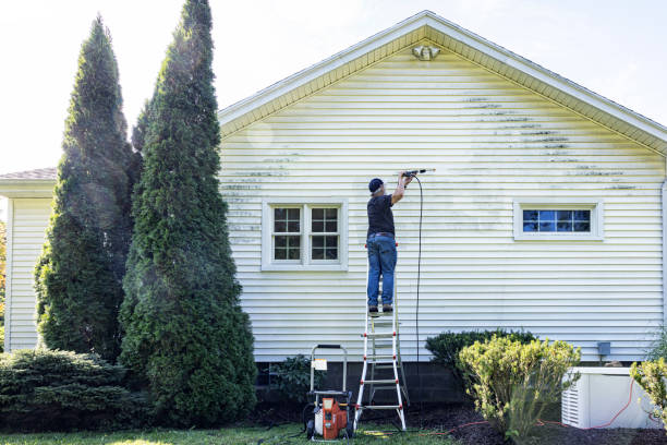 Best Soft Washing  in Mechanicsville, VA